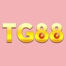 Tg8808 com – Hướng dẫn tải app trên iphone và Adroid